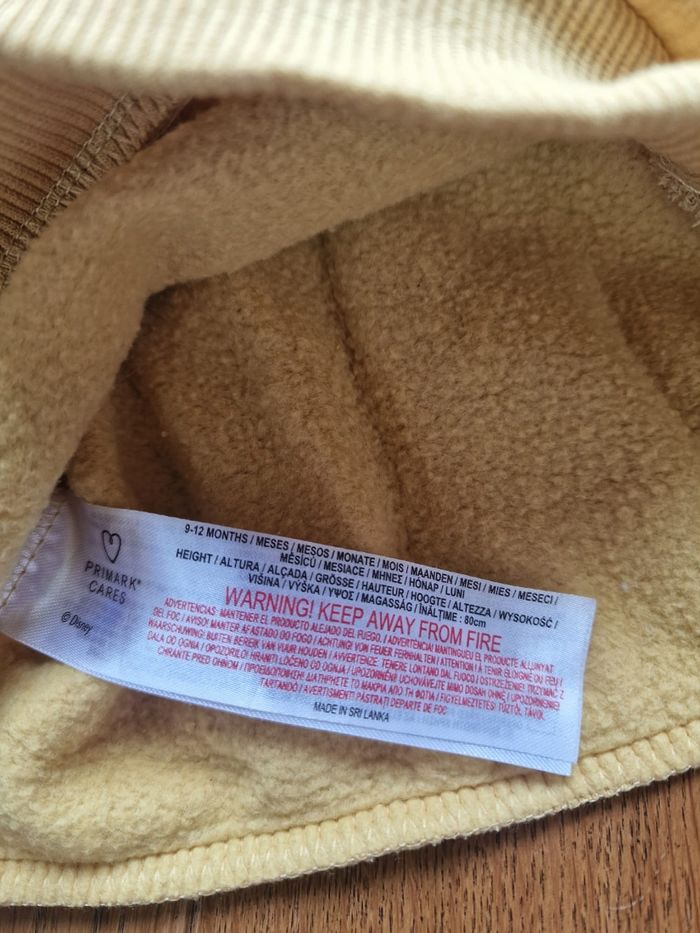 Ensemble le roi lion - photo numéro 8