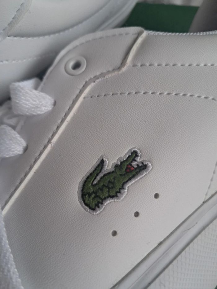 Basket neuve lacoste 37,5 - photo numéro 7