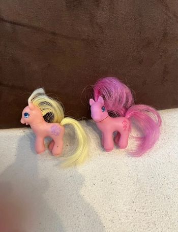 Ensemble petit poney