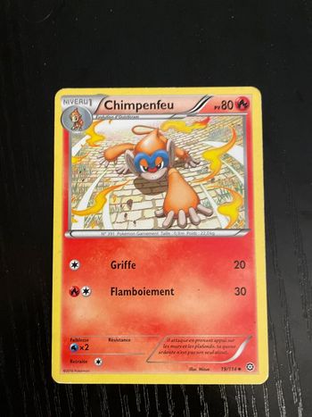 Carte Pokémon Chimpenfeu 19/114