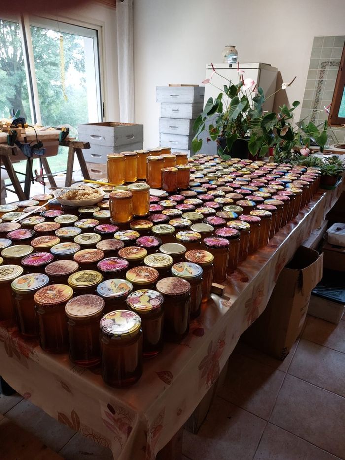 Miel de fleur  et sapin - photo numéro 2