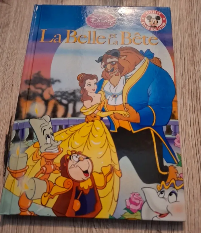 Livre  la belle et  la bête