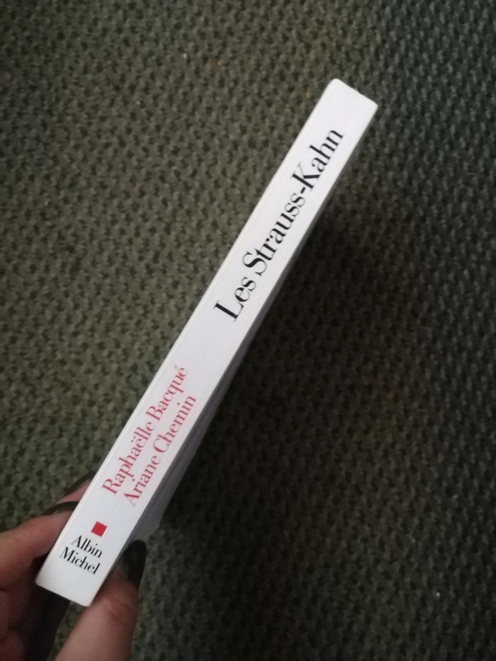 Les Strauss-Kahn, éditions Albin Michel - photo numéro 8