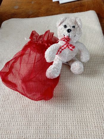 Peluche Ours + pochette