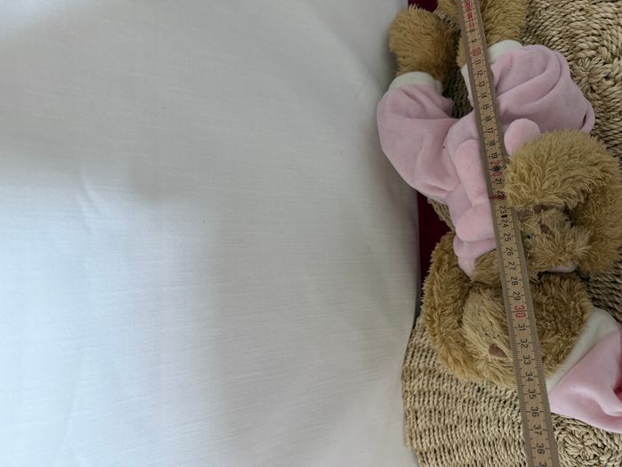 Ourse et son bébé Louise Mansen - photo numéro 5