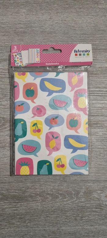Lot de 3 petits carnets/ notebooks