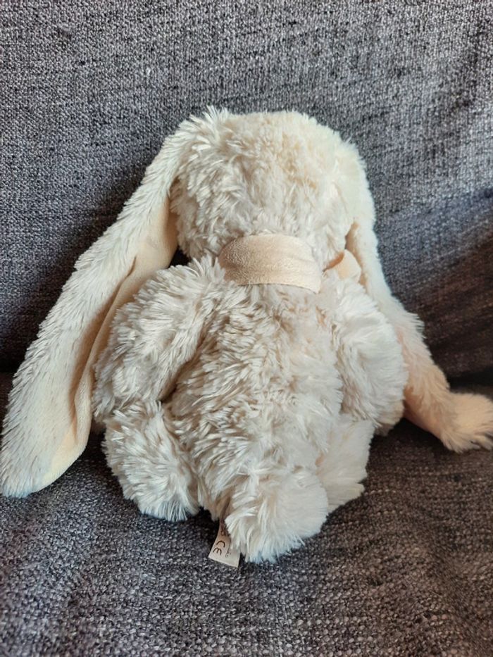 Lapin André bukowski - photo numéro 3