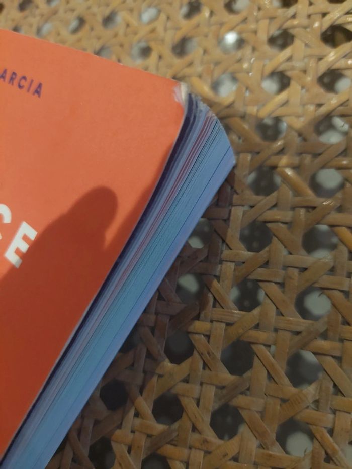 📘 La puissance d’un blog – Vivez vos rêves ! de Cécile Garcia - photo numéro 2