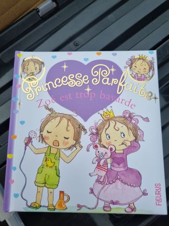 Livre princesse parfaite