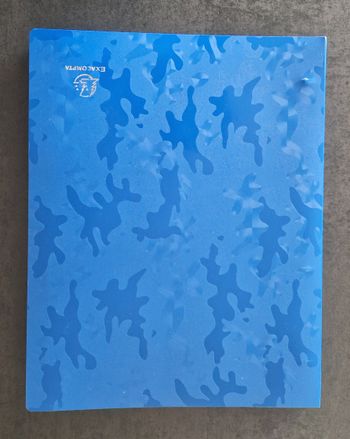 Classeur souple Exacompta + 30 pochettes transparentes - TB état