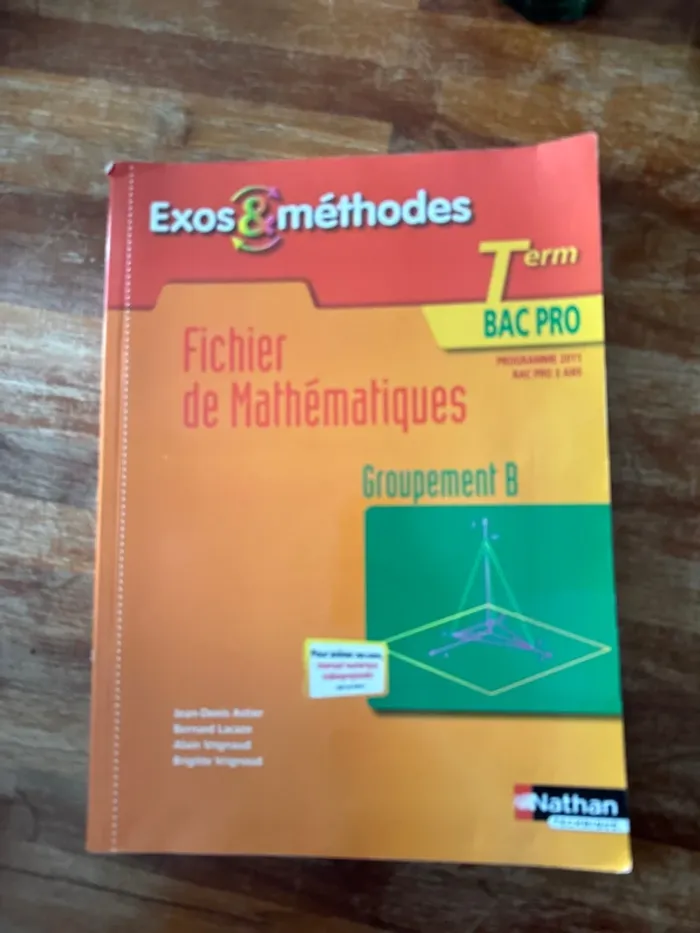 Livre, fichier de mathématiques, terminale, bac pro