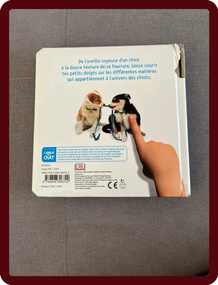 Les chiots - photo numéro 2