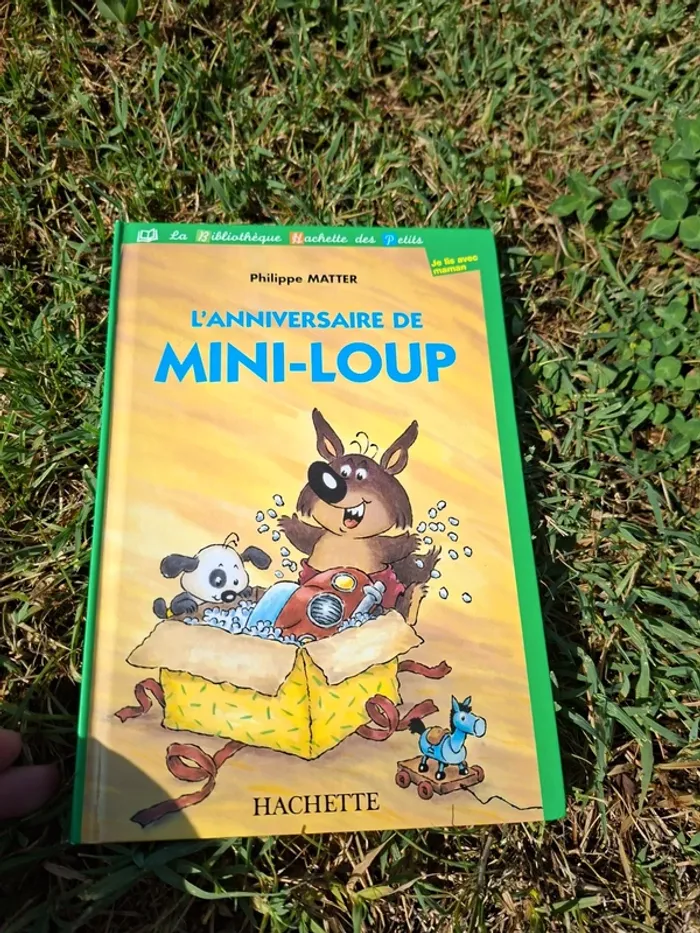 Livre l anniversaire de mini loup