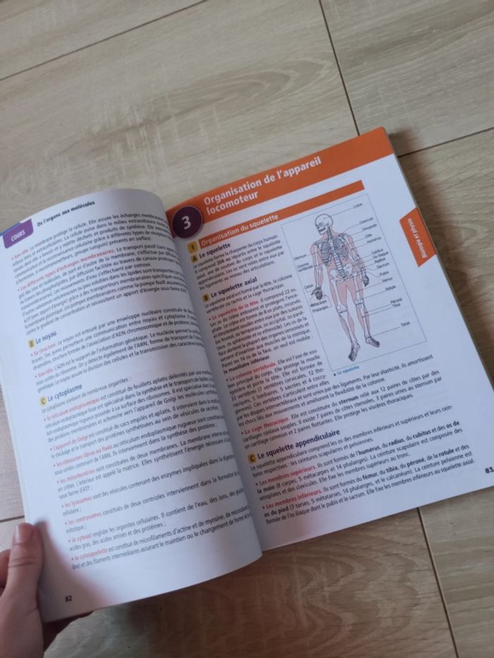 Livre 📕 Objectif bac 1° ST2S hachette education 5€ - photo numéro 11