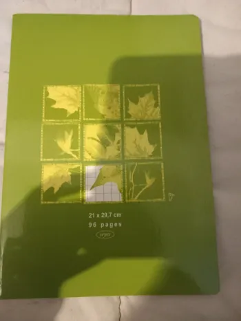 Cahier 21x29,7 grands carreaux 96 pages