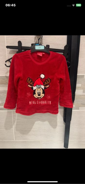 Pul polaire Disney