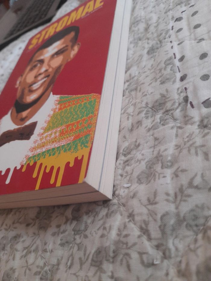 Stromae livre - photo numéro 2