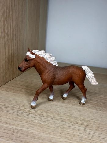 Poney schleich
