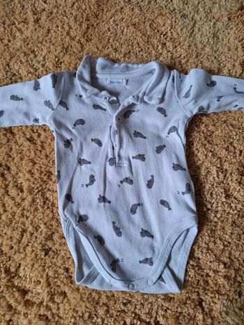 Bodie polo