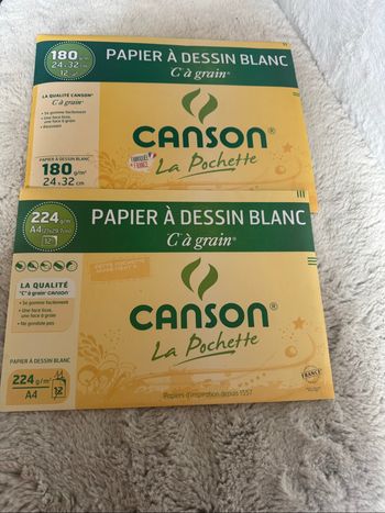 Lot pochettes canson