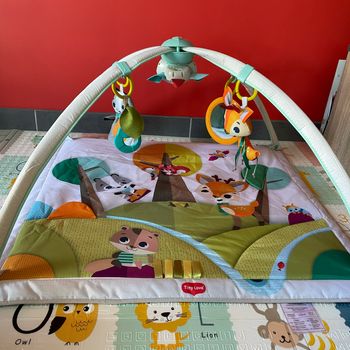 Tapis d’éveil bébé Tiny Love