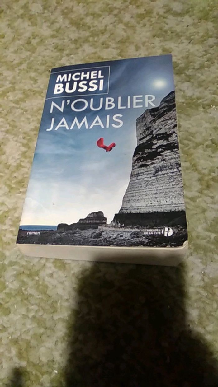 Roman N'oublier jamais