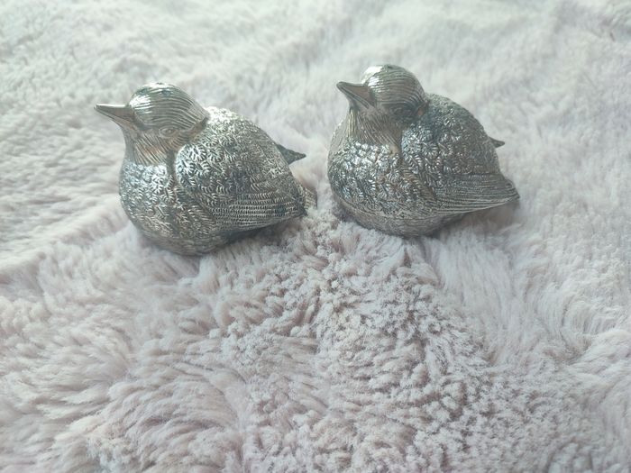 Sel et poivre oiseaux vintage