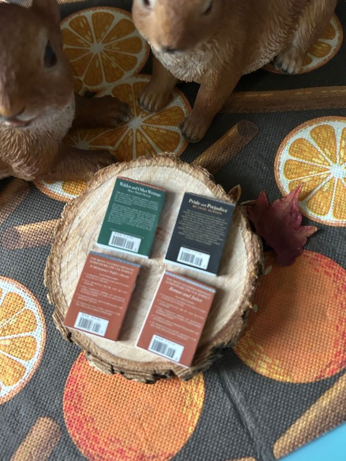 Lot de livres  miniatures pour maison de poupée - photo numéro 2