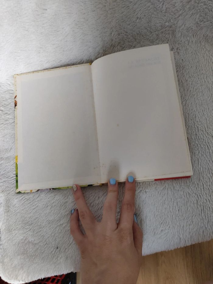 La revanche de Robin des bois - photo numéro 5