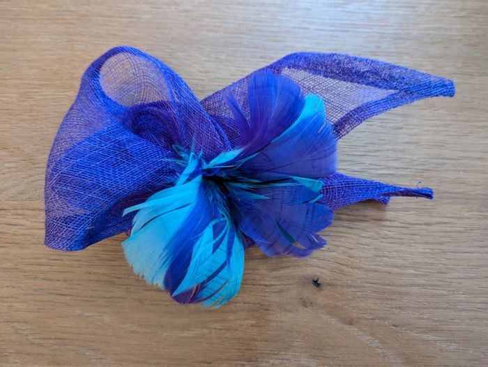 Pince violet et bleu