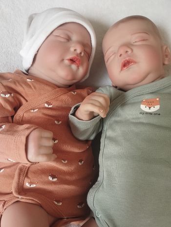 Bébé reborn jumeaux