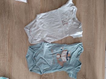 Lot bodies 9 mois manche courte