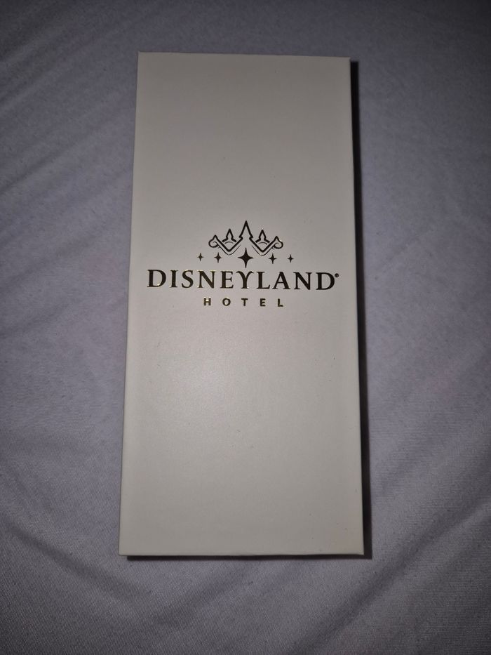Clé de chambre Disneyland hôtel - photo numéro 3