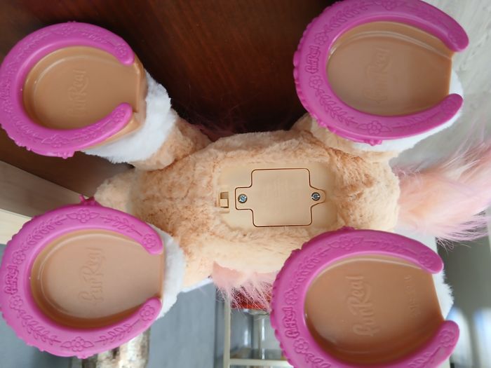 canelle mon poney coquet - photo numéro 4