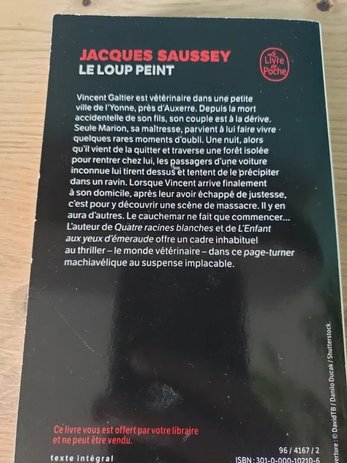 Le loup peint - photo numéro 2