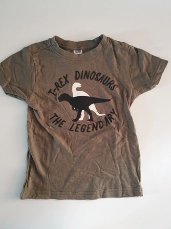 T-shirt dinosaures 4 ans