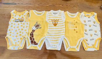 🦒Lot 5 bodys 3 mois🦒 TS