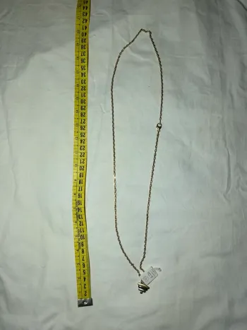 Chaîne dorée le chat