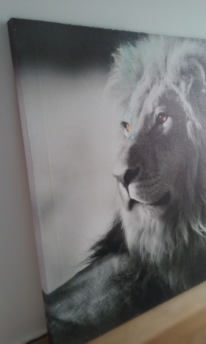 Toile lion sur cadre - photo numéro 3