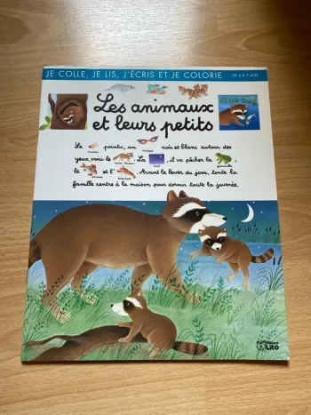Livre enfant niveau CP