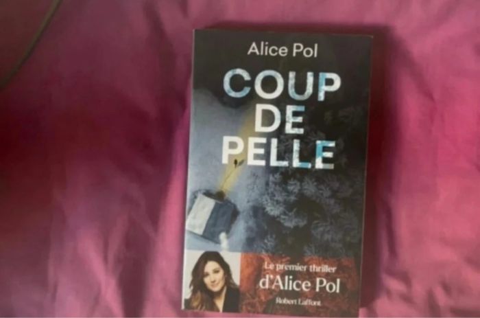 Coup de pelle - photo numéro 2