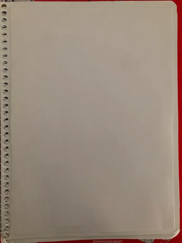 Cahier Angry Birds - photo numéro 7