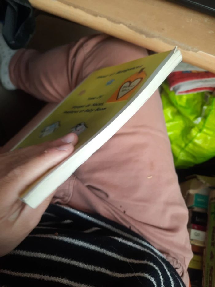 Tome il et ii livre amour et manigance p h - photo numéro 6