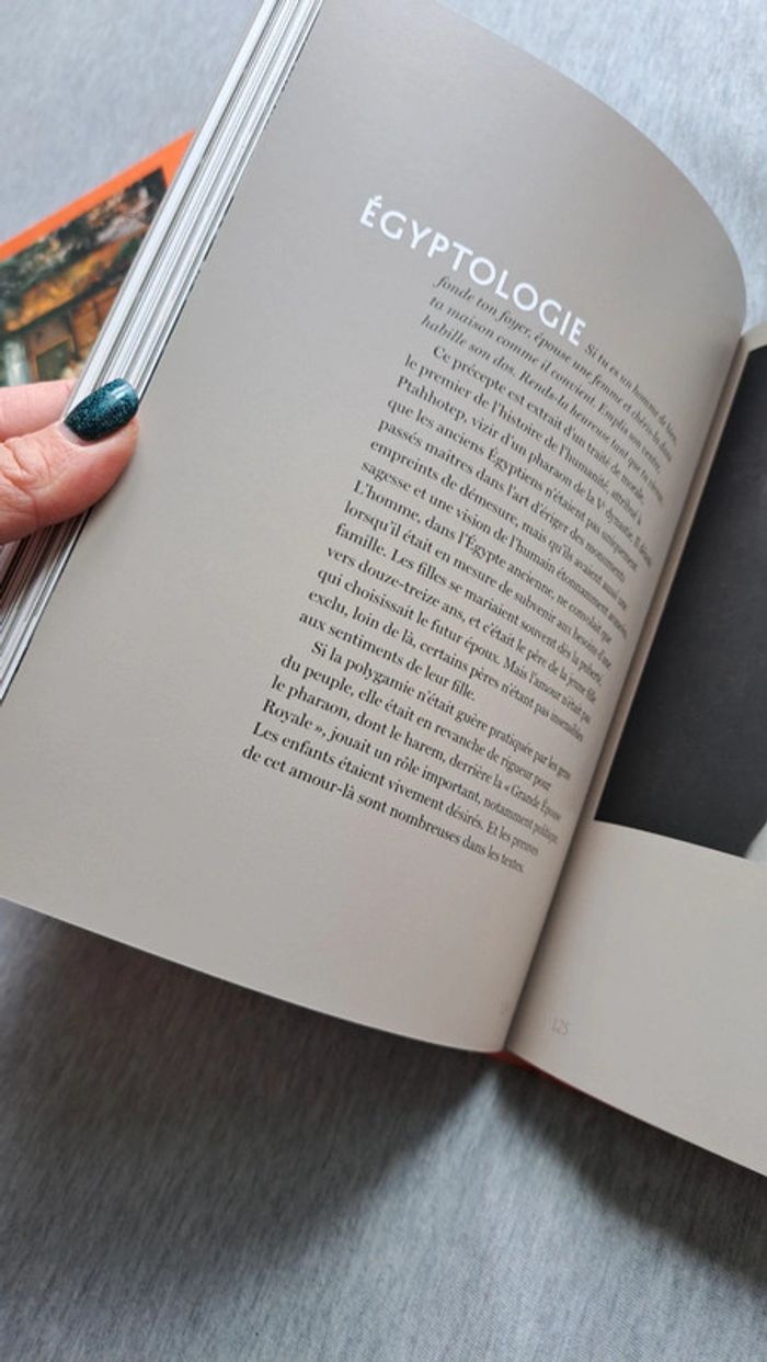 Livre impressions d'Égypte - photo numéro 5