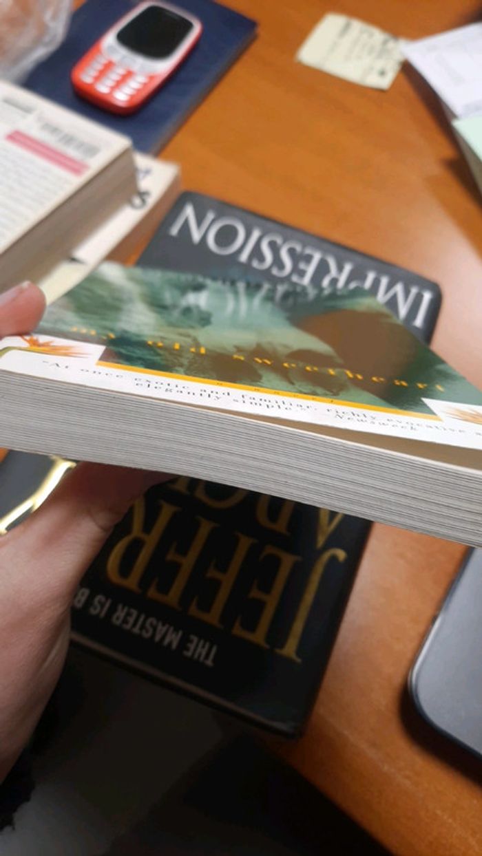 Livre en anglais - photo numéro 6