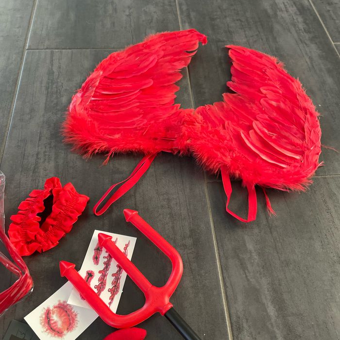 Accessoire déguisement - photo numéro 2