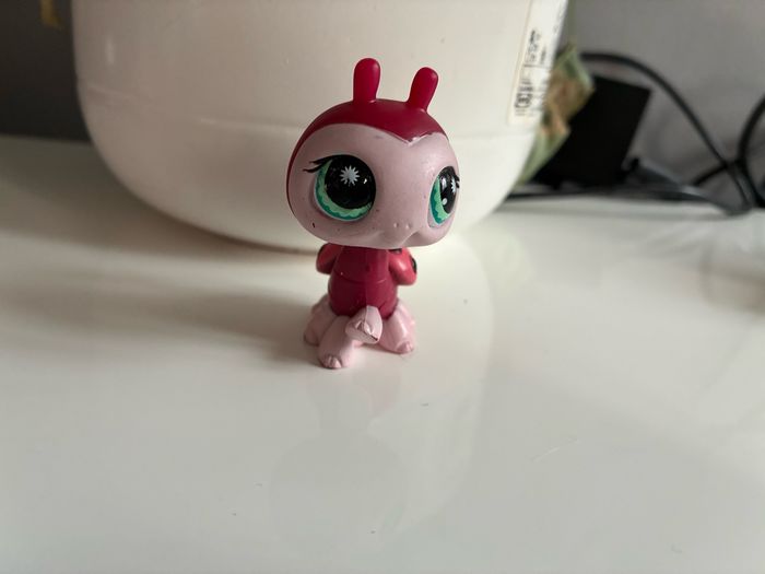 PetShop coccinelle