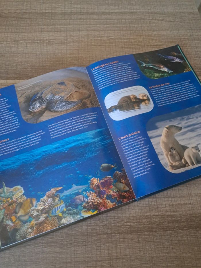 Livre Les Animaux en danger - photo numéro 3