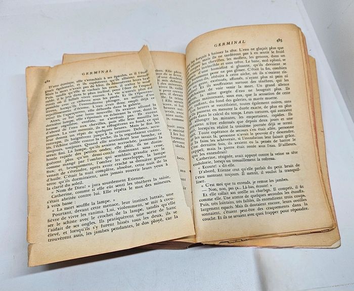 "Germinal", de Zola.
512 pages.
Le livre de poche. 
ISBN : 2.253.00422.7 - photo numéro 8
