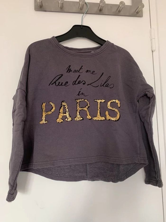 Sweat gris Paris court 138 cm
